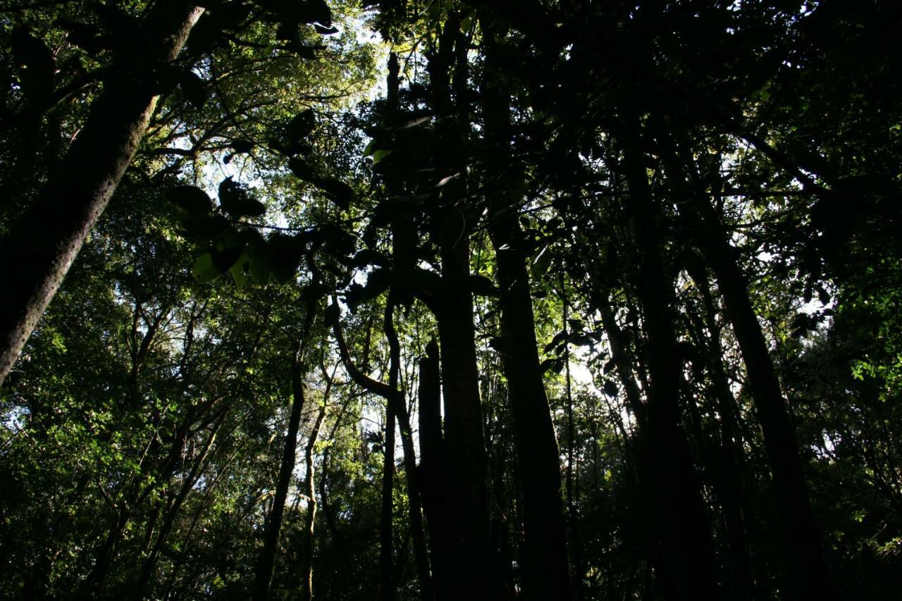 巴列埃尔莫索El Sabinar别墅 外观 照片